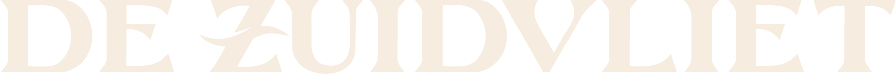 De Zuidvliet