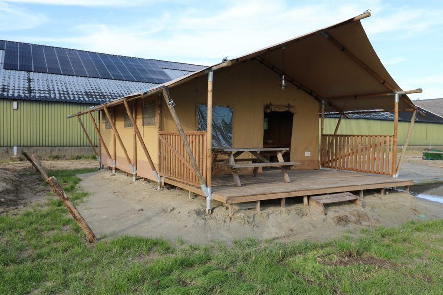 Glamping tent Sunshine 5 persons