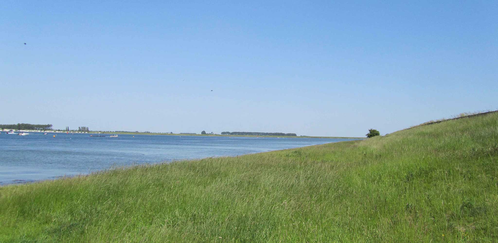 De Zuidvliet De Zuidvliet